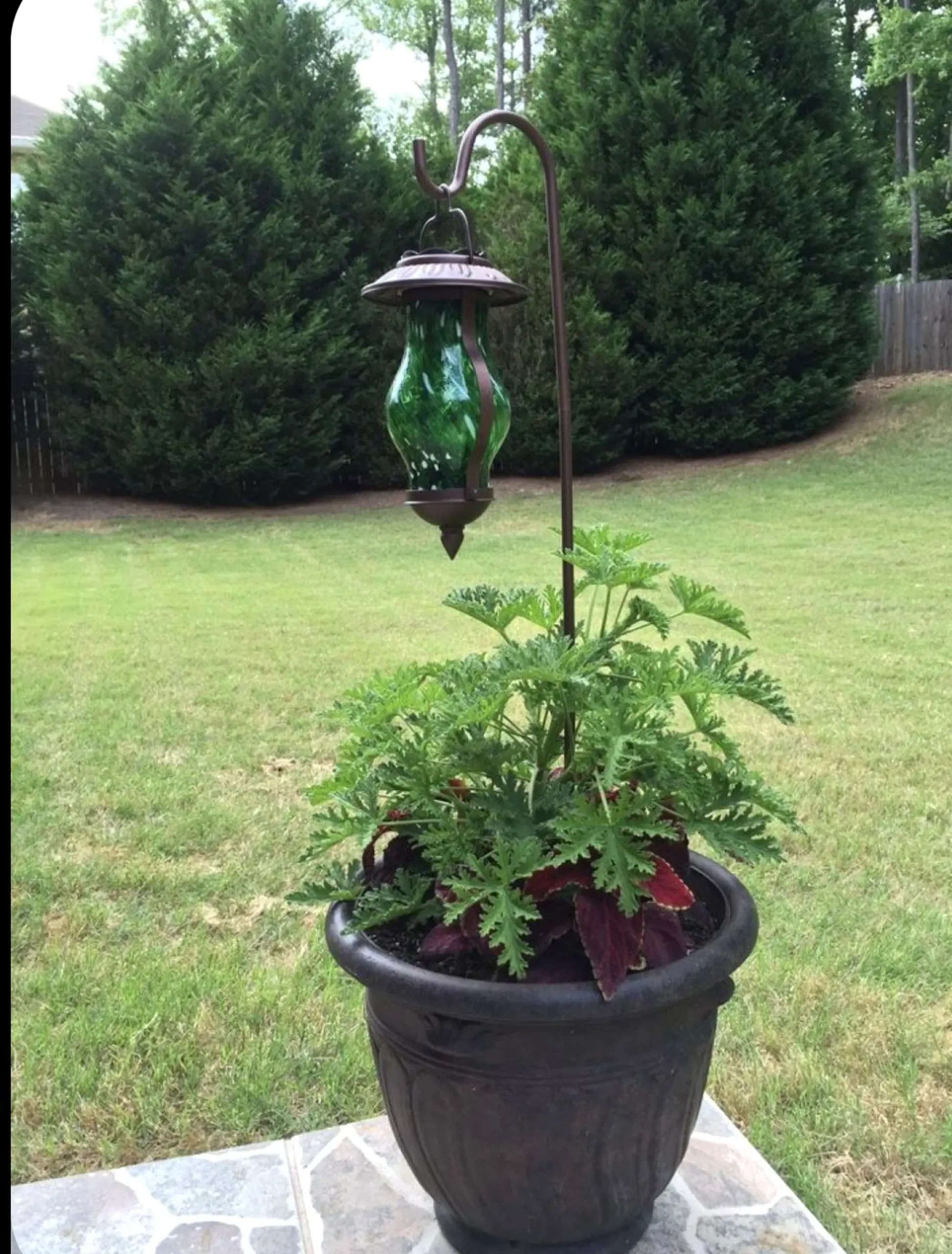 Leafy dining setup anchors the composition with contrast, giving the view a mood that feels personal and relaxed.