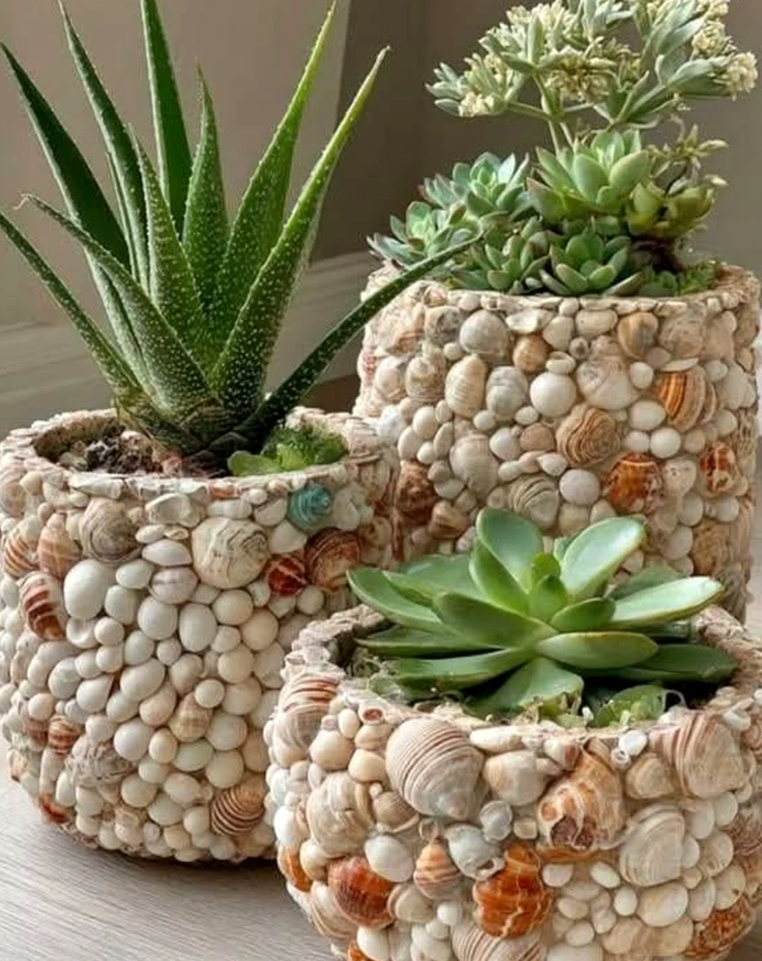 Soft garden seating frames the setting with warmth, making the scene feel easy to enjoy.