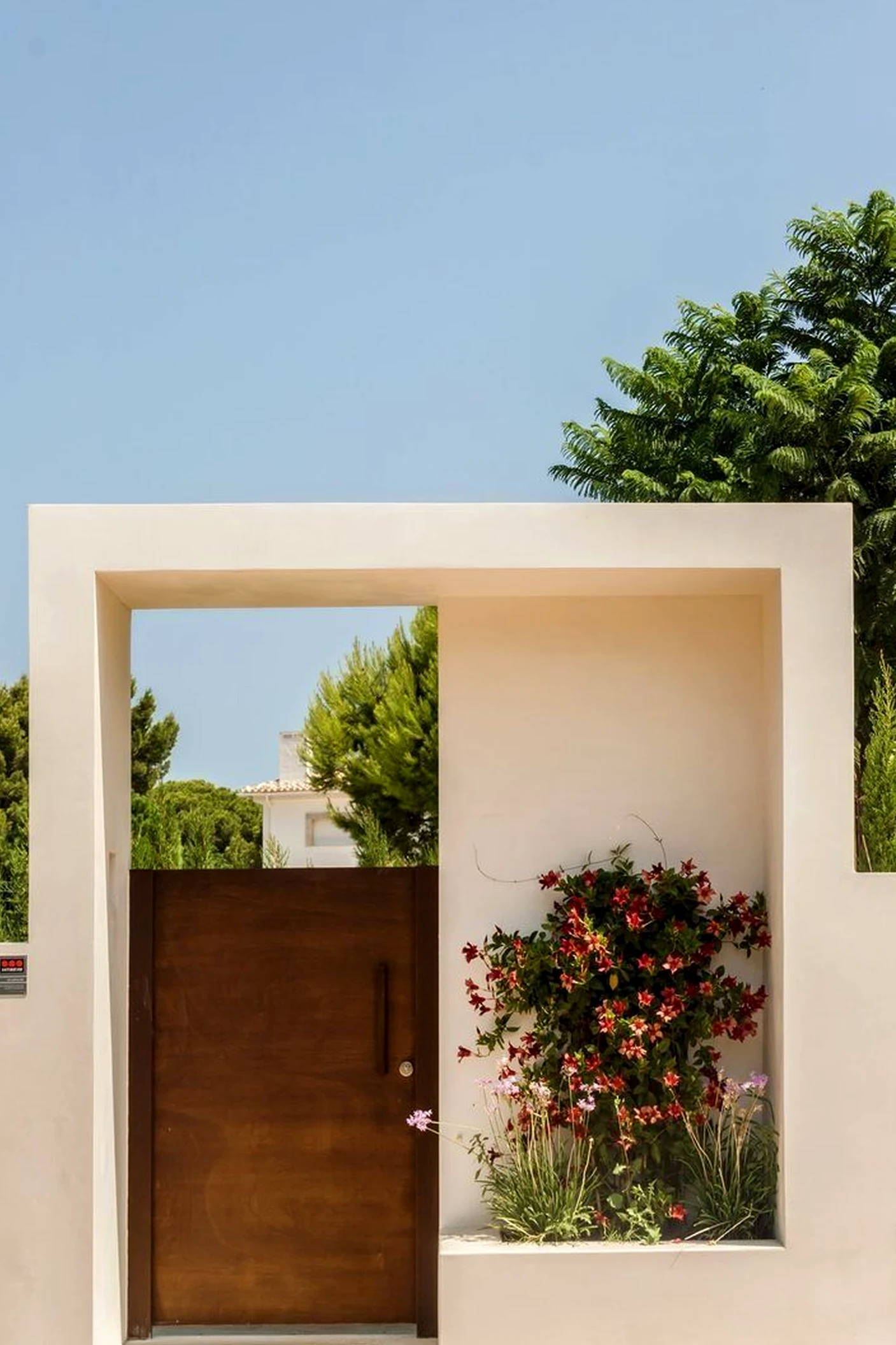 Sculptural decorative mirror frames the room with character, making the scene feel personal and relaxed.